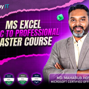 MS Excel Basic to Professional Master Course